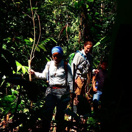 Amazon Acai Lodge Leticia Exterior foto