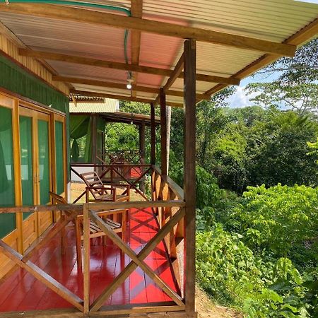 Amazon Acai Lodge Leticia Exterior foto