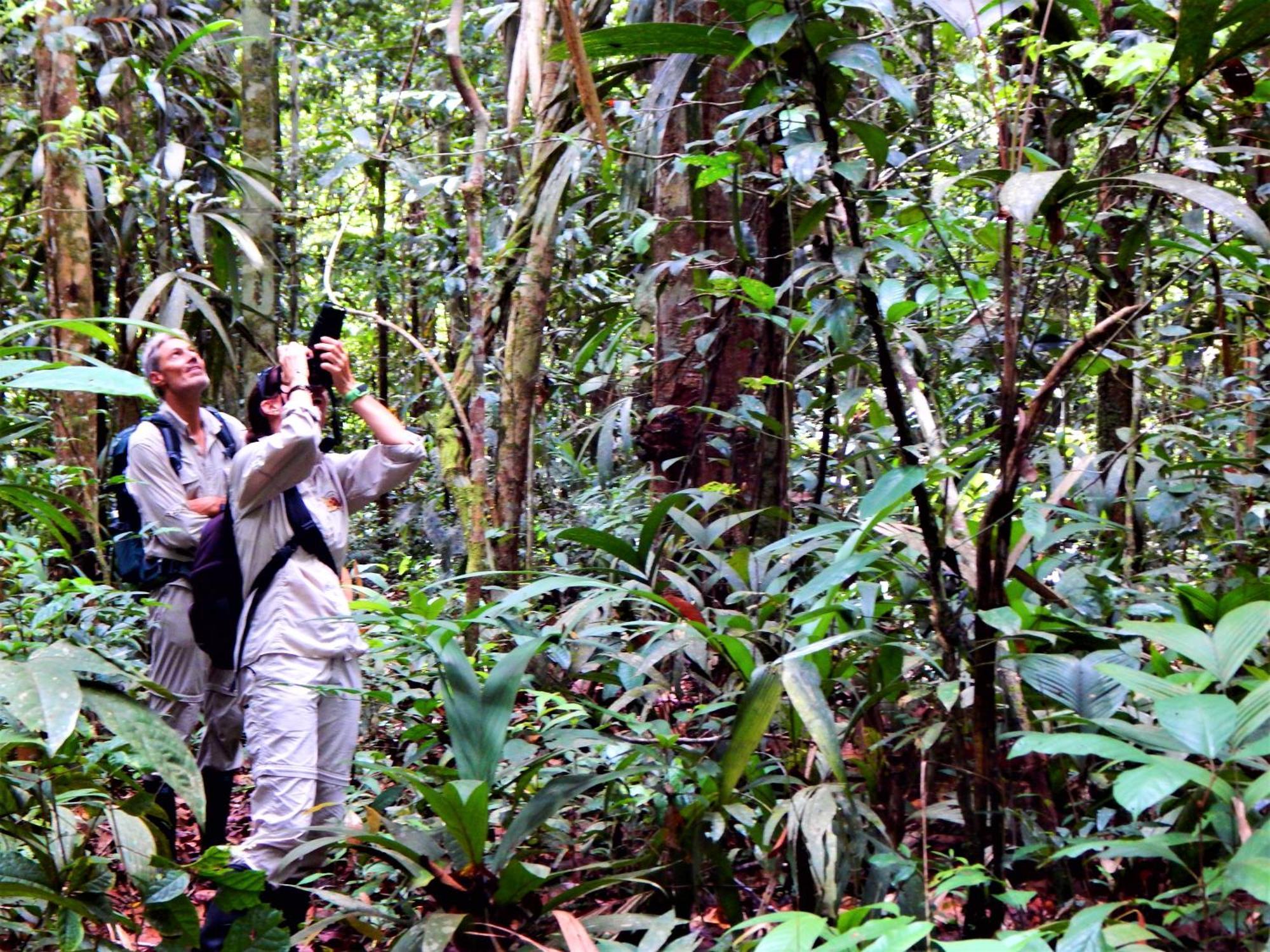 Amazon Acai Lodge Leticia Exterior foto