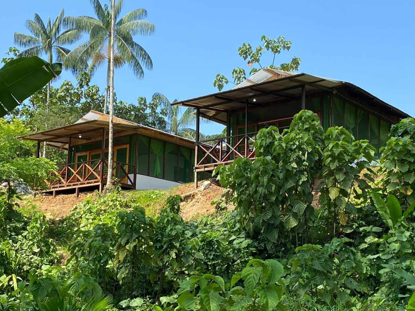 Amazon Acai Lodge Leticia Exterior foto